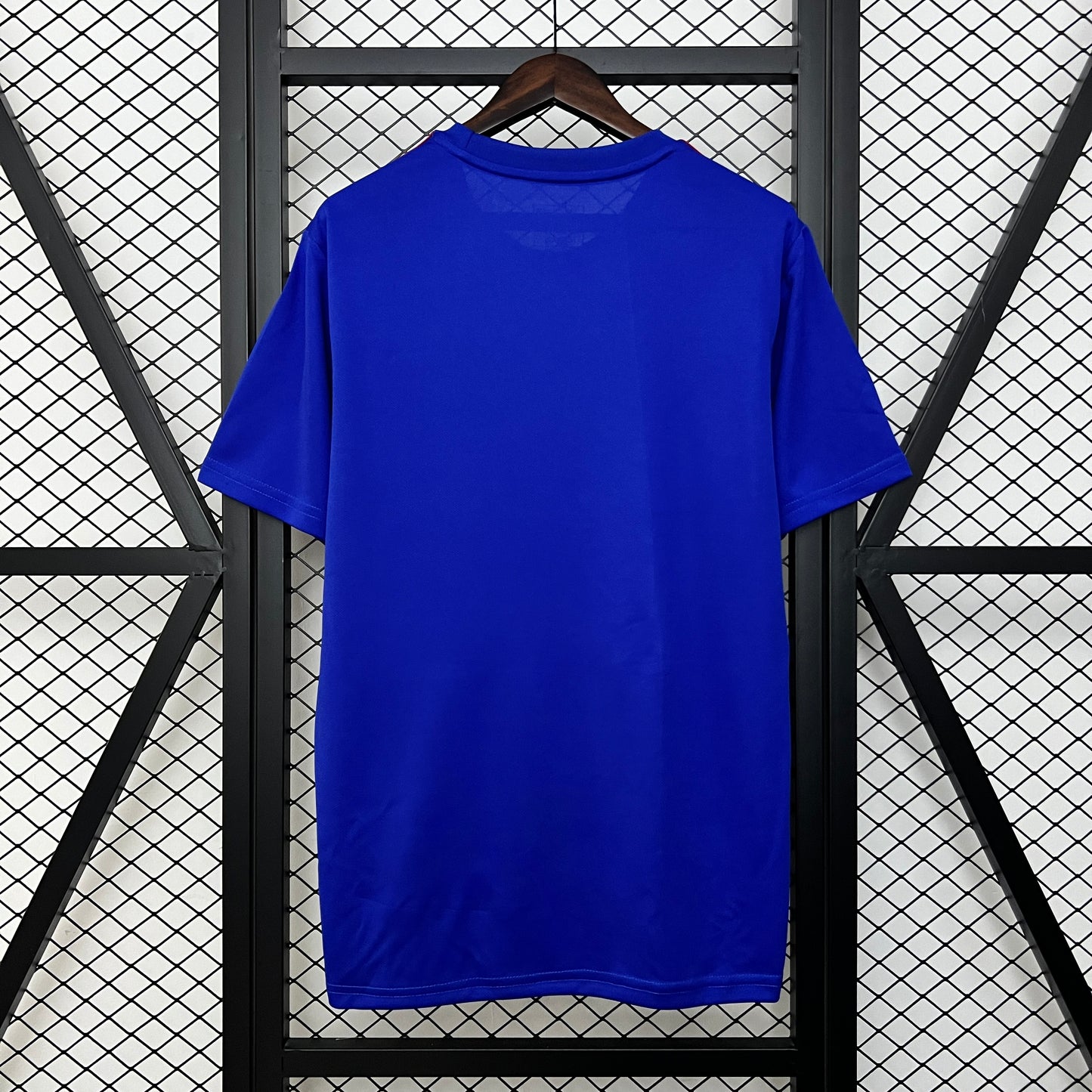 Camiseta Japón 2024 Edición Especial