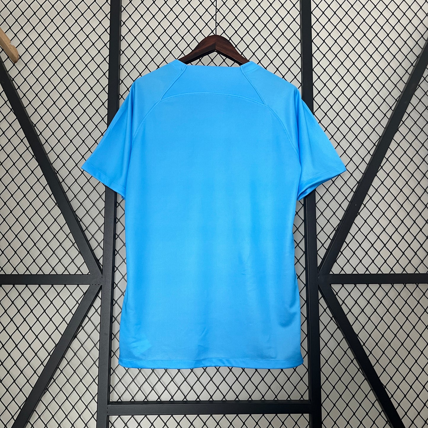Camiseta Paises Bajos 2024 Versión Especial