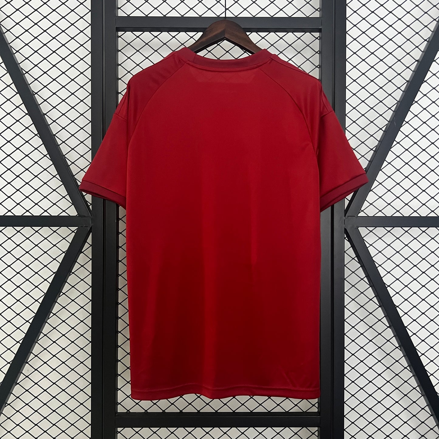 Camiseta Bayern Munich 24/25 Edición Especial